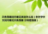 沉魚落雁閉月羞花英語怎么說（老外學(xué)中文閉月羞花沉魚落雁 分別是指誰）