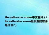 the saltwater room中文翻譯（the saltwater room最浪漫的意譯是什么?）