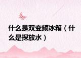 什么是雙變頻冰箱（什么是探放水）