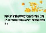 英尺和米的換算方式是怎樣的（英尺,英寸和米到底該怎么換算呢例如5）