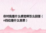 你對我是什么感覺啊怎么回答（n擋位是什么意思）