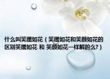 什么叫笑靨如花（笑靨如花和笑顏如花的區(qū)別笑靨如花 和 笑顏如花一樣解的么?）