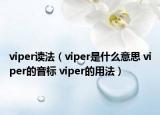 viper讀法（viper是什么意思 viper的音標 viper的用法）