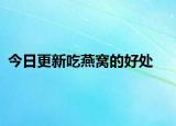 今日更新吃燕窩的好處