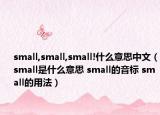 small,small,small!什么意思中文（small是什么意思 small的音標(biāo) small的用法）