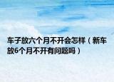 車(chē)子放六個(gè)月不開(kāi)會(huì)怎樣（新車(chē)放6個(gè)月不開(kāi)有問(wèn)題嗎）