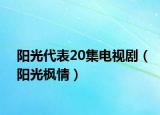 陽光代表20集電視劇（陽光楓情）