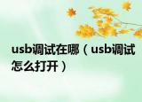 usb調(diào)試在哪（usb調(diào)試怎么打開(kāi)）