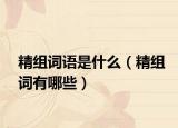 精組詞語(yǔ)是什么（精組詞有哪些）