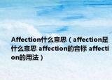 Affection什么意思（affection是什么意思 affection的音標(biāo) affection的用法）