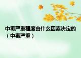 中毒嚴(yán)重程度由什么因素決定的（中毒嚴(yán)重）