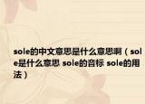sole的中文意思是什么意思啊（sole是什么意思 sole的音標 sole的用法）