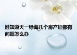 誰知道天一綠海幾個房產證都有問題怎么辦