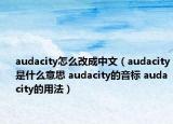 audacity怎么改成中文（audacity是什么意思 audacity的音標(biāo) audacity的用法）