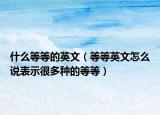 什么等等的英文（等等英文怎么說表示很多種的等等）