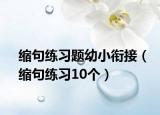 縮句練習(xí)題幼小銜接（縮句練習(xí)10個(gè)）