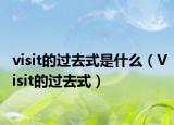 visit的過(guò)去式是什么（Visit的過(guò)去式）