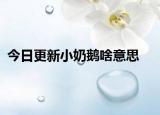 今日更新小奶鵝啥意思