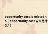 opportunity cost is related to（opportunity cost 含義是什么?）