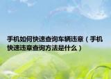 手機(jī)如何快速查詢車輛違章（手機(jī)快速違章查詢方法是什么）