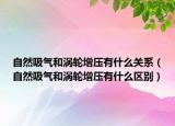 自然吸氣和渦輪增壓有什么關(guān)系（自然吸氣和渦輪增壓有什么區(qū)別）