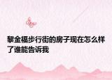 黎金福步行街的房子現(xiàn)在怎么樣了誰能告訴我