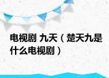 電視劇 九天（楚天九是什么電視劇）