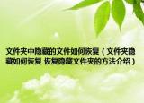 文件夾中隱藏的文件如何恢復(fù)（文件夾隱藏如何恢復(fù) 恢復(fù)隱藏文件夾的方法介紹）