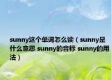 sunny這個單詞怎么讀（sunny是什么意思 sunny的音標(biāo) sunny的用法）