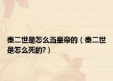秦二世是怎么當(dāng)皇帝的（秦二世是怎么死的?）