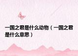 一國(guó)之君是什么動(dòng)物（一國(guó)之君是什么意思）