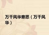 萬千風(fēng)華意思（萬千風(fēng)華）