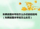 車輛逾期未年檢怎么辦還能檢驗(yàn)嗎（車輛逾期未年檢怎么處罰）