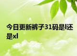 今日更新褲子31碼是l還是xl