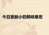 今日更新小奶鵝啥意思