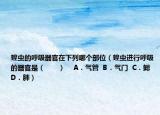 蝗蟲的呼吸器官在下列哪個(gè)部位（蝗蟲進(jìn)行呼吸的器官是（　?。?   A．氣管  B．氣門  C．鰓  D．肺）