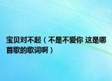 寶貝對不起（不是不愛你 這是哪首歌的歌詞啊）