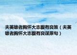 夫英雄者胸懷大志腹有良策（夫英雄者胸懷大志腹有良謀原句）