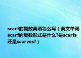 scarf的復(fù)數(shù)英語怎么寫（英文單詞scarf的復(fù)數(shù)形式是什么?是scarfs還是scarves?）