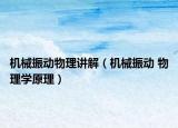 機(jī)械振動(dòng)物理講解（機(jī)械振動(dòng) 物理學(xué)原理）