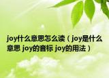 joy什么意思怎么讀（joy是什么意思 joy的音標(biāo) joy的用法）