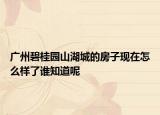 廣州碧桂園山湖城的房子現(xiàn)在怎么樣了誰知道呢