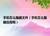 手機(jī)怎么隱藏文件（手機(jī)怎么隱藏應(yīng)用呢）