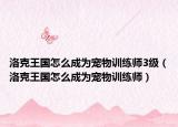 洛克王國怎么成為寵物訓(xùn)練師3級（洛克王國怎么成為寵物訓(xùn)練師）