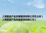 上海復地產業(yè)發(fā)展集團有限公司怎么樣（上海復地產業(yè)發(fā)展集團有限公司）