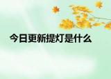 今日更新提燈是什么