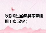 吹你吹過的風算不算相擁（吹 漢字）