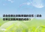 適合你來比劃我來猜的音樂（適合你來比劃我來猜的成語）