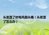 頭發(fā)濕了吹電風(fēng)扇頭痛（頭發(fā)濕了怎么辦）