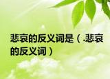 悲哀的反義詞是（.悲哀的反義詞）